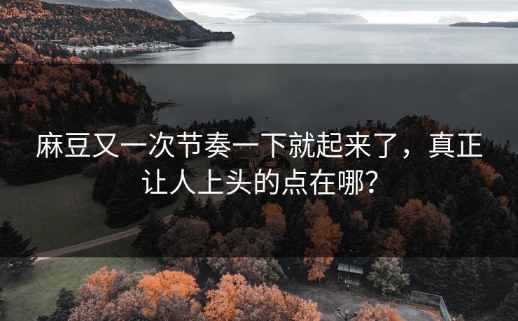 麻豆又一次节奏一下就起来了，真正让人上头的点在哪？