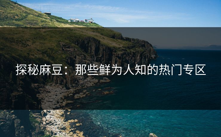 探秘麻豆：那些鲜为人知的热门专区
