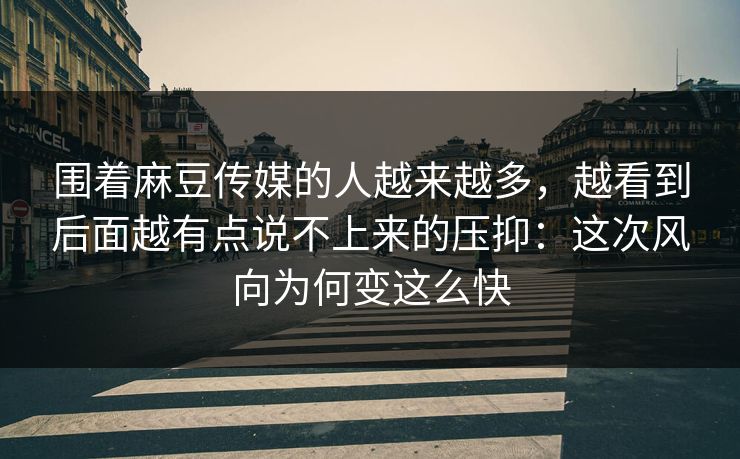 围着麻豆传媒的人越来越多，越看到后面越有点说不上来的压抑：这次风向为何变这么快