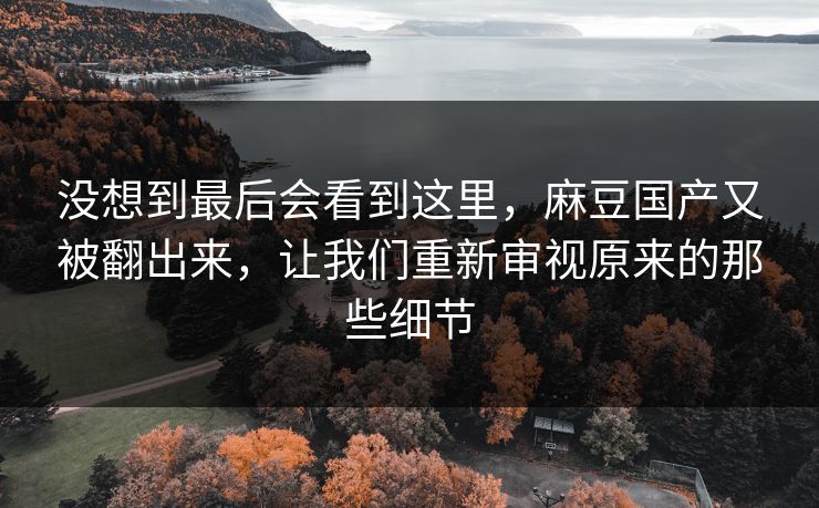 没想到最后会看到这里，麻豆国产又被翻出来，让我们重新审视原来的那些细节