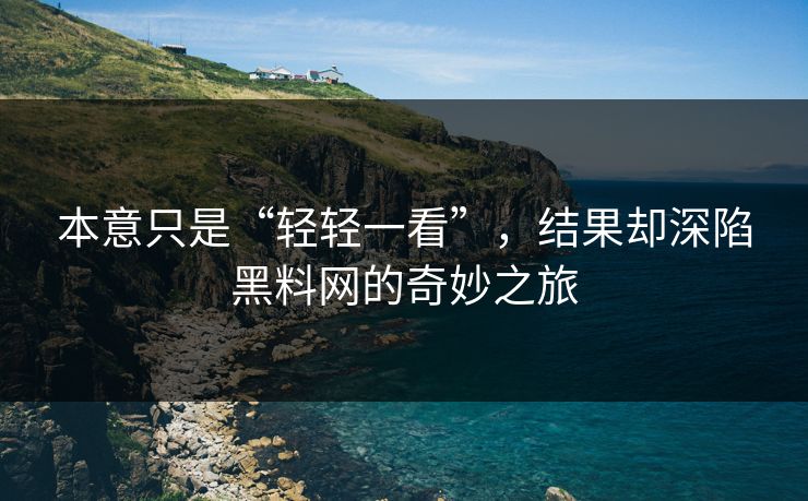 本意只是“轻轻一看”，结果却深陷黑料网的奇妙之旅