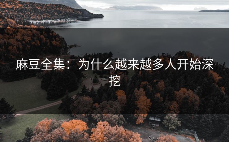 麻豆全集：为什么越来越多人开始深挖